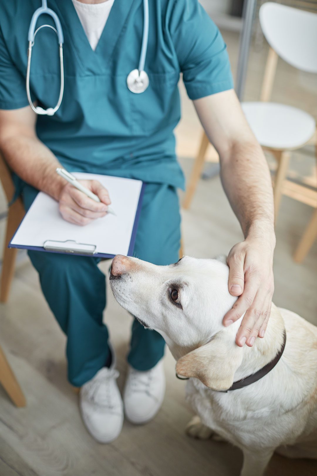 Male Veterinarian Petting Dog